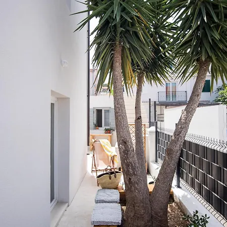 Yucca, 2-min To The And 5 To تروغير